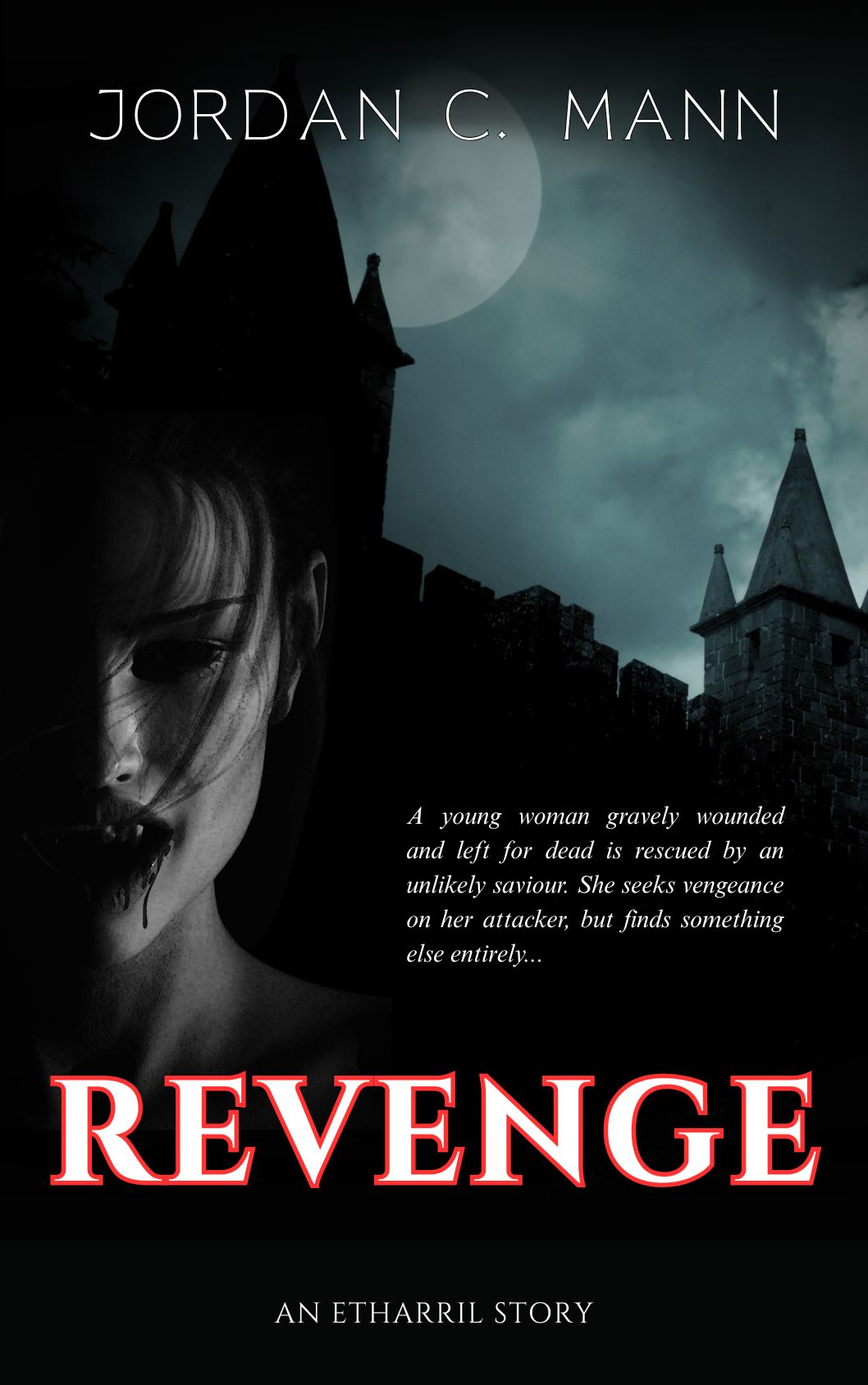 REVENGE - A Novella